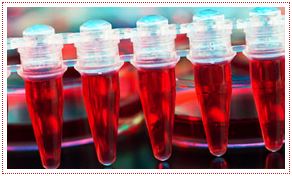 Noble Diagnostics(Thana)
