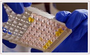 Noble Diagnostics(Thana)