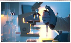 Noble Diagnostics(Thana)