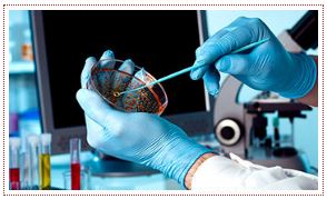 Noble Diagnostics(Thana)
